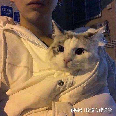 乐鱼体育平台下载安装